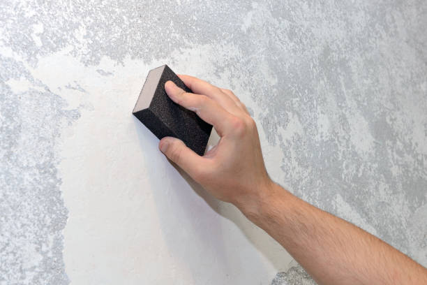 Best Mold Remediation for Healthcare Facilities  in North Barrington, IL