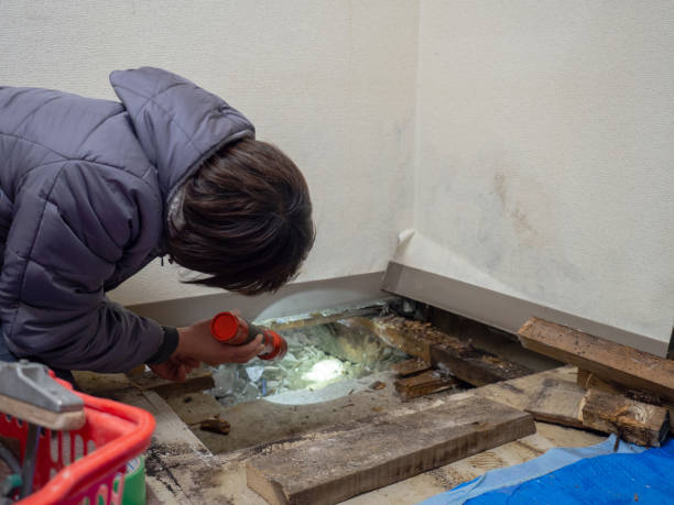 Best Real Estate Mold Inspection  in North Barrington, IL