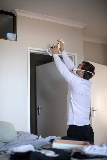 Trusted North Barrington, IL Mold Removal Experts