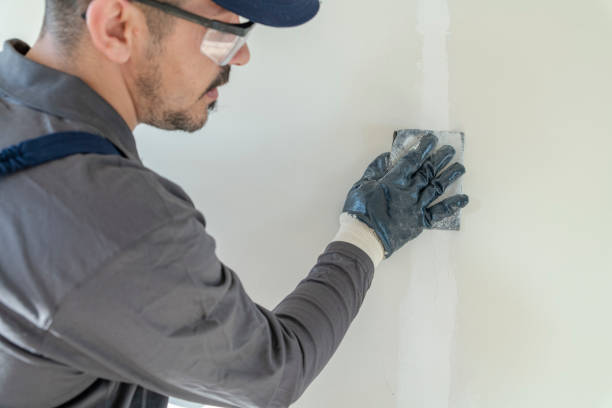 Best Environmental Consulting for Mold Prevention  in North Barrington, IL