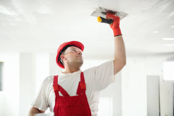 Best Airborne Mold Testing  in North Barrington, IL