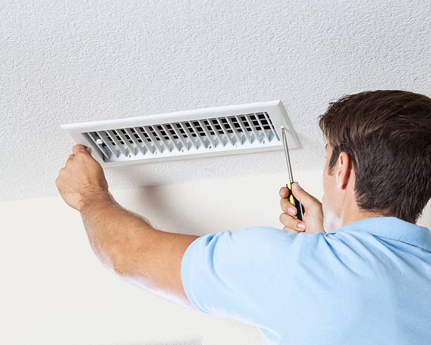 Best Asbestos and Lead Testing During Mold Inspection  in North Barrington, IL