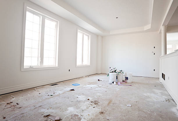 Best Mold Odor Removal Services  in North Barrington, IL
