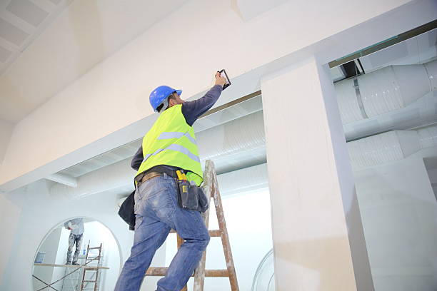 Mold Odor Removal Services in North Barrington, IL